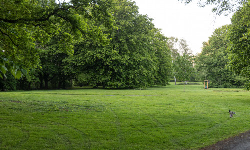 Der Stadtpark in Lebenstedt