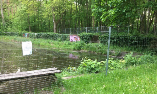 Ein Zaun um das "Alte Freibad" soll die Gefahr eindämmen.