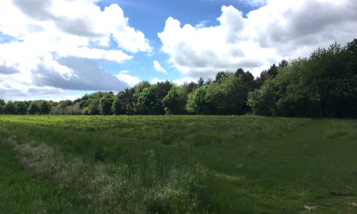 Der Westpark ist ein beliebtes Naherholungsgebiet – das jetzt durch Flächenkauf ergänzt werden soll (Archivbild).