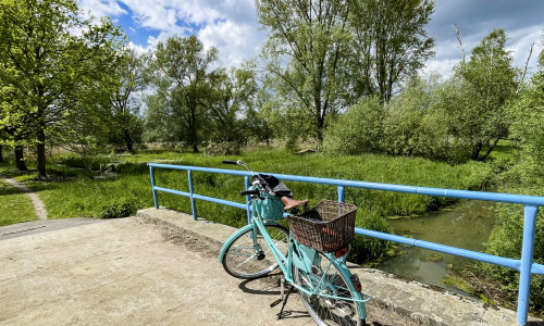 Auch das Barumer Moor wird auf einer der Radtouren besucht.