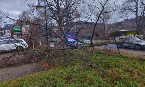 Dieser Baum in der Hildesheimer Straße hatte keine Lust auf 2022 - und kippte kurz vor Silvester um. 