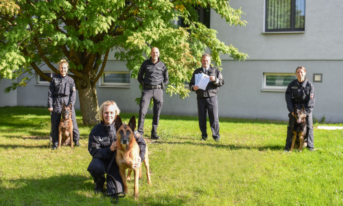 Diese drei Diensthunde der Polizeidirektion Braunschweig wurden in den Ruhestand verabschiedet.