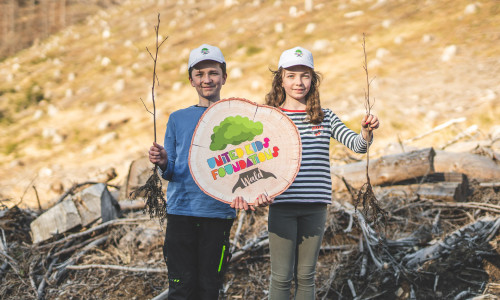 Für jedes Kind, das in der Weltsparwoche eine Einzahlung bei der Volksbank BraWo vornimmt, unterstützt die Bank den United Kids Foundations Wald mit einem weiteren Baum.