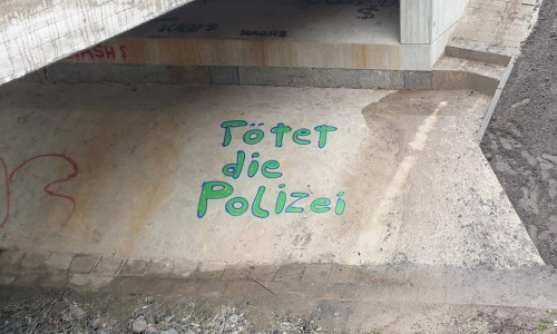 Diese Schmiererei wurde unter der Brücke in Meinersen entdeckt.