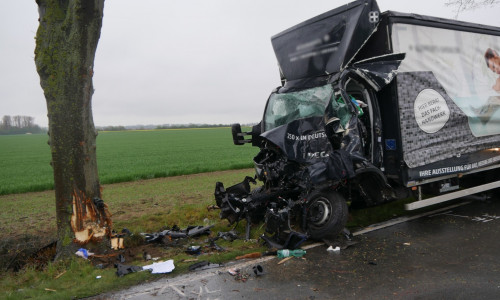 Der Fahrer des LKW starb noch am Unfallort.