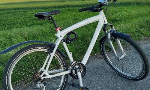 So sieht das gestohlene Fahrrad aus.