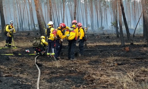 Das Waldbrandteam bei der Flächenbrandbekämpfung.