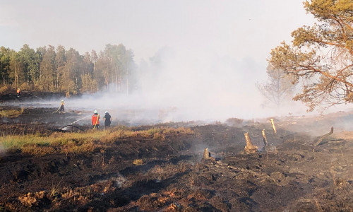 Gestern brach bei Neudorf-Platendorf ein Moor-und Waldbrand aus.