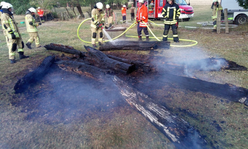 Mehrere Baumstämme brannten.