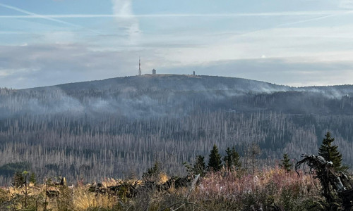 Seit Samstag brennt ein großes Waldgebiet auf dem Brocken. 