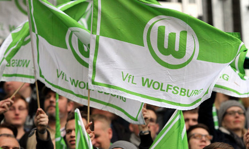 Fans des VfL Wolfsburg (Archiv)