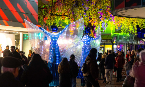 Archivbild einer früheren Ausgabe von Light The Night in Salzgitter.