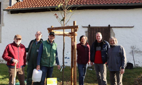 Sie pflanzten den Amberbaum in Destedt: v.l.: Michael Schmidt (LEADER-Region Elm-Schunter), Andreas Hettwer, Uwe Feder, Matthias Böhnig, Michael Marsel und Diethelm Krause-Hotopp.