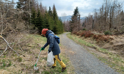 Eine Teilnehmerin der Müllsammelaktion der Geocacher im Nationalpark Harz im vergangenen Jahr.