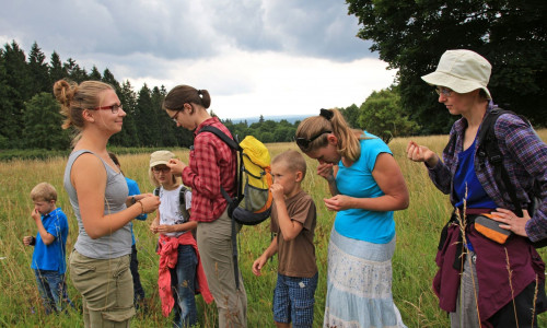 Eine der Aufgaben im Rahmen des Freiwilligen Ökologischen Jahres im Natur-Erlebniszentrum HohneHof: Die Führung einer Kräuterwanderung im Nationalpark.