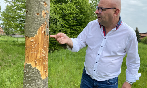 Auch die Rinde dieses jungen Baumes im Ortsteil Fümmelse wurde beschädigt. Ortsbürgermeister Marc Angerstein ist verärgert.