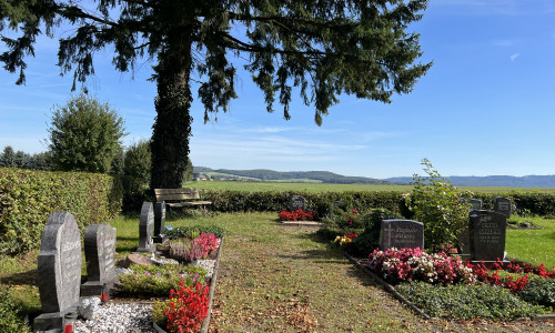 Ruhestätte mit Ausblick: Der Friedhof in Mechtshausen, auf dem auch Wilhelm Busch beerdigt wurde.
