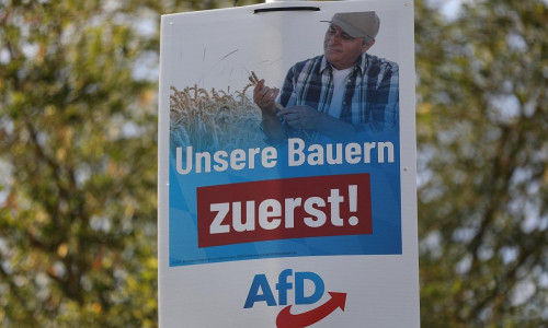 AfD-Wahlplakat zur Landtagswahl in Bayern 2023 (Archiv)
