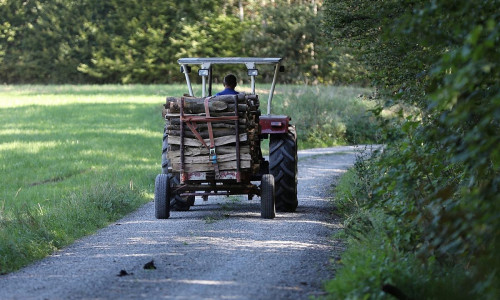 Holztransport mit einem Traktor (Archiv)