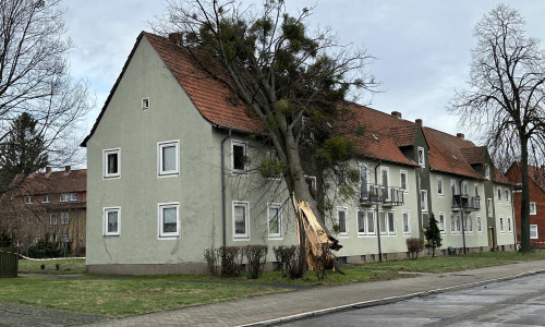 Ein Baum ist auf ein Wohnhaus in Salzgitter gestürzt. 