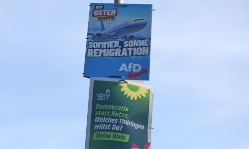 Wahlplakate von AfD und Grünen zur Landtagswahl in Thüringen (Archiv)