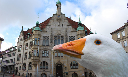 Auch in diesem Jahr findet wieder der traditionelle Helmstedter Gänsemarkt statt.