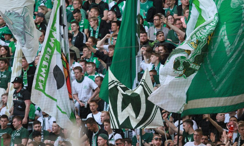 Fans von Werder Bremen (Archiv)