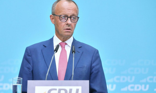 Friedrich Merz (Archiv)