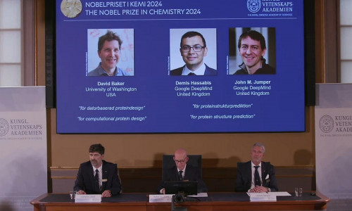 Bekanntgabe Chemie-Nobelpreis 2024 (Archiv)