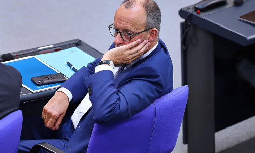 Friedrich Merz (Archiv)