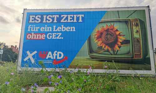 AfD-Wahlplakat zur Landtagswahl in Brandenburg (Archiv)