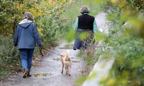 Zwei Frauen gehen mit einem Hund Gassi (Archiv)