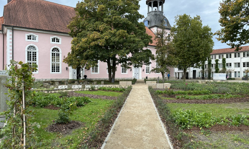 Aus dem Kirchgarten wurde ein Klimaschutzgarten.