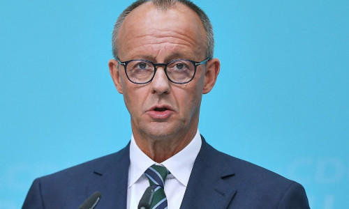 Friedrich Merz (Archiv)