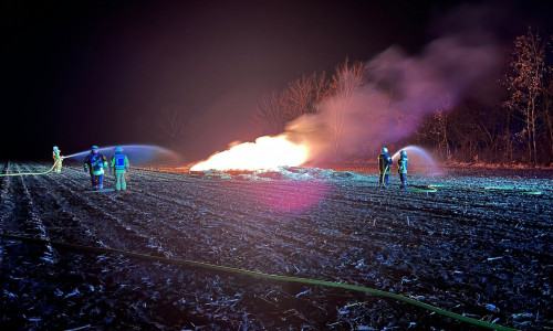 Die Feuerwehr bekämpft den Flächenbrand.