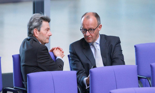 Rolf Mützenich und Friedrich Merz (Archiv)