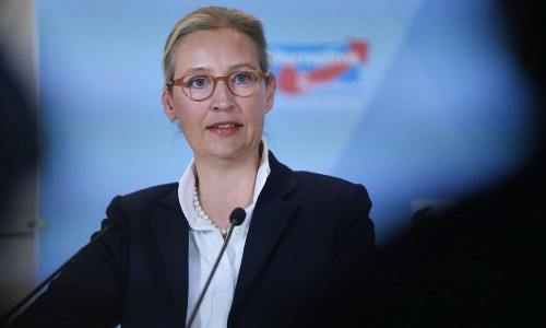 Alice Weidel am 07.11.2024