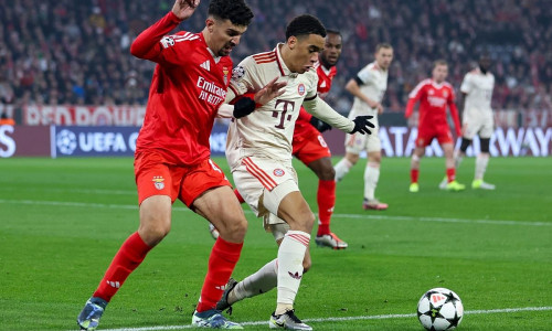 FC Bayern München - Benfica Lissabon am 06.11.2024