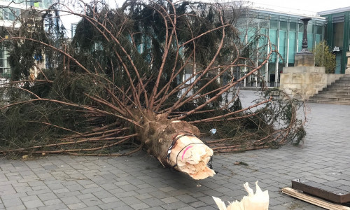 Der Baum war umgeknickt.