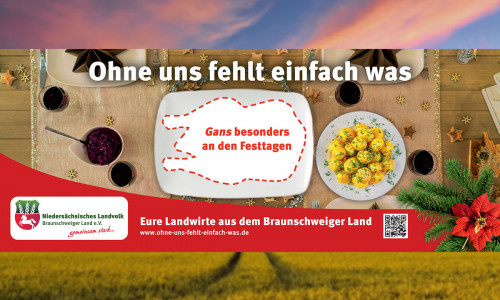 "Ohne uns fehlt einfach was" - ein Plakat der Weihnachtskampagne.