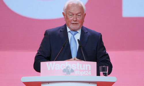 Wolfgang Kubicki (Archiv)