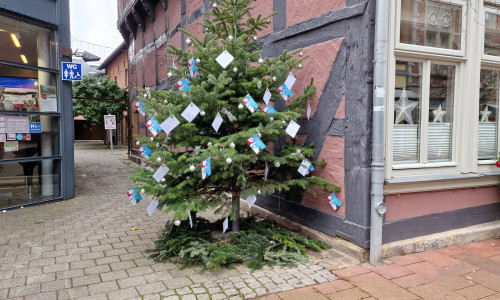 Auch in diesem Jahr ist der Wunschbaum neben der Tourist-Information (Breite Str. 58) zu finden. 