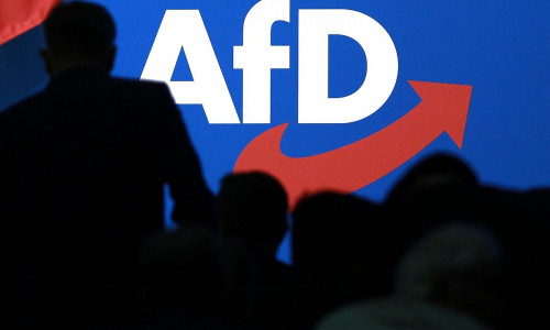 Logo auf AfD-Parteitag (Archiv)