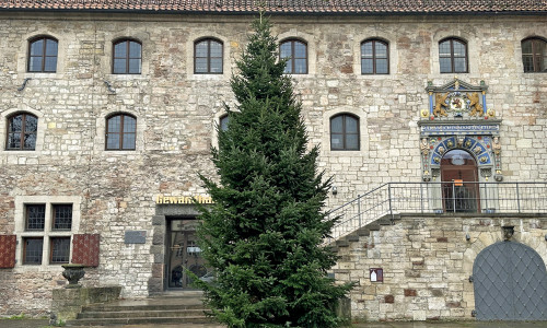 Der Weihnachtsbaum präsentiert auf dem Altstadtmarkt sein grünes Nadelkleid und sorgt für Vorfreude auf die Weihnachtszeit.