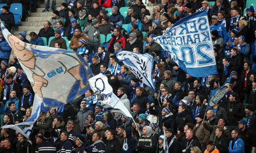 Fans der TSG 1899 Hoffenheim (Archiv)