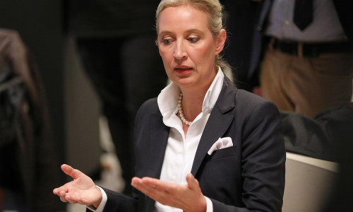 Alice Weidel (Archiv)