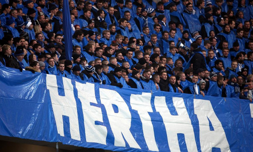 Fans von Hertha BSC (Archiv)