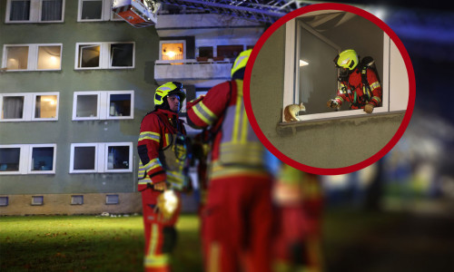 Auch die Drehleiter der Feuerwehr kam zum Einsatz.