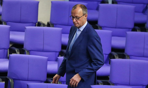 Friedrich Merz am 14.11.2024