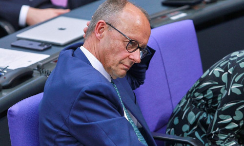 Friedrich Merz (Archiv)